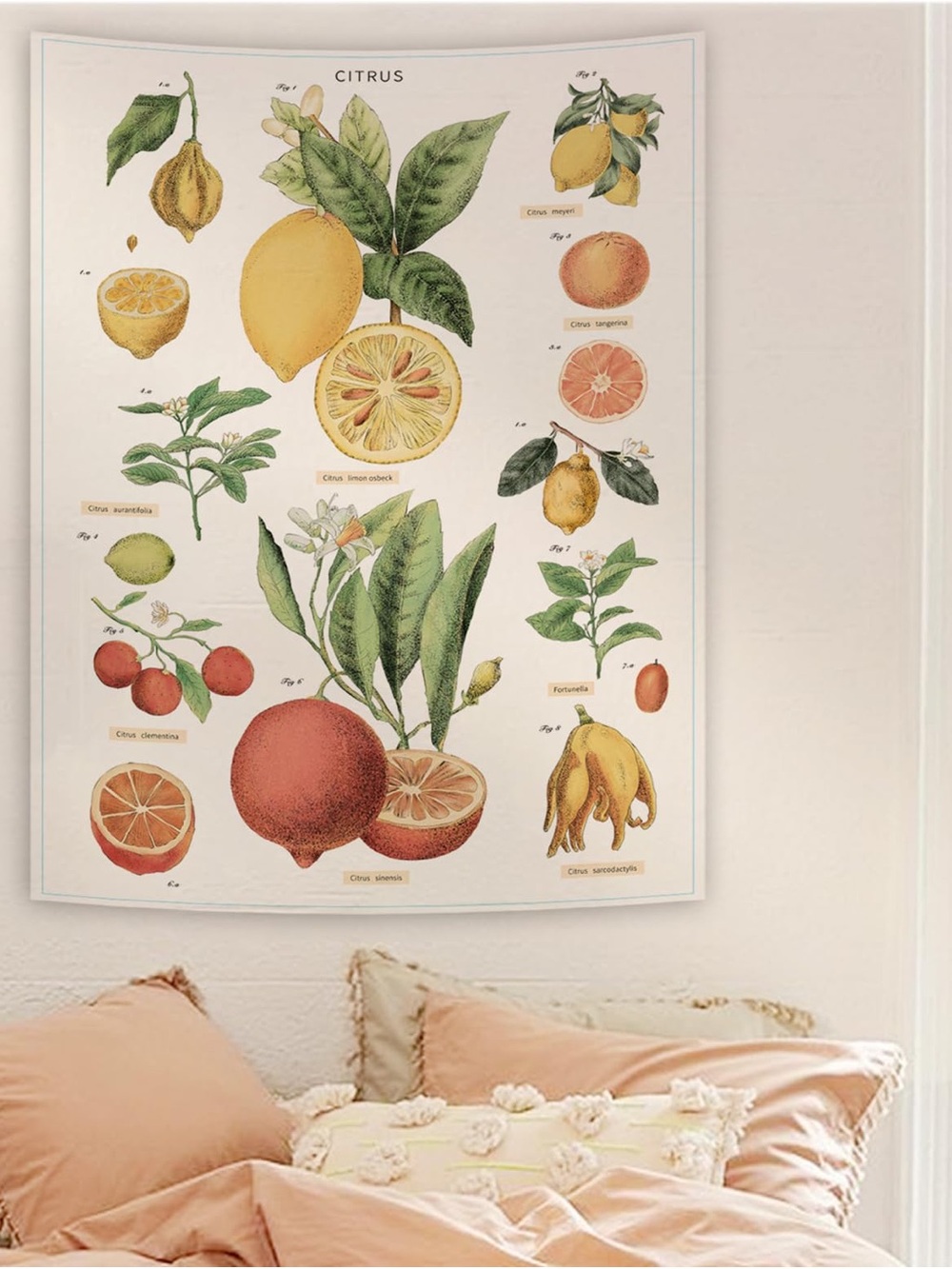 Urban outfitters fruit wall tapestry